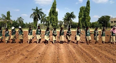 Awards & Recognitions